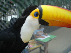 花鳥園