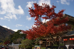 嵐山