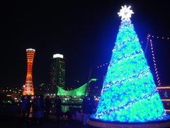 神戸の夜景
