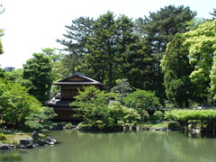 DSC03190