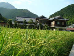田舎