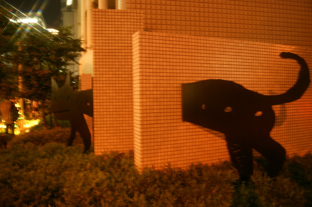 ネーコ