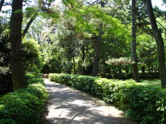DSC03187