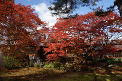 DSC01386