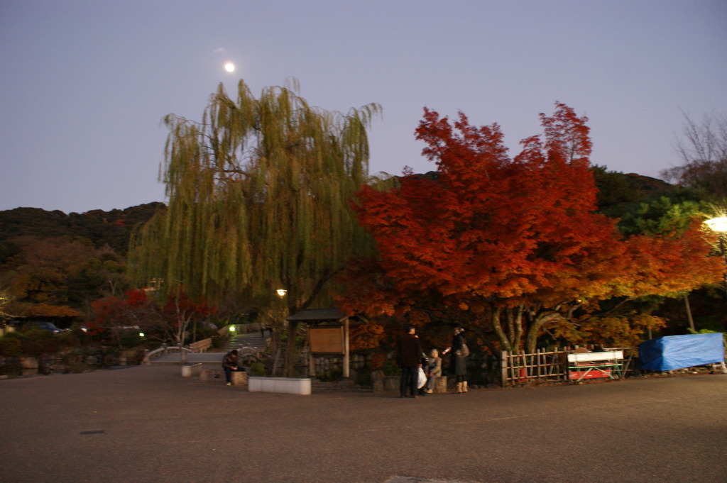 円山公園