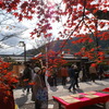 嵐山