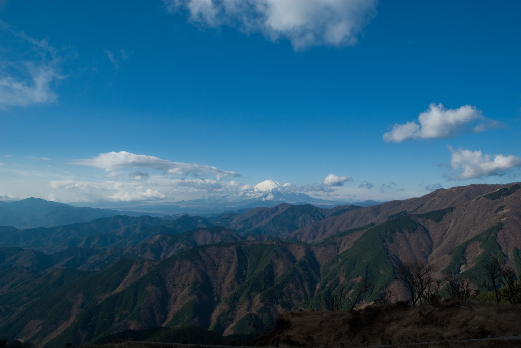 ここが神奈川県？