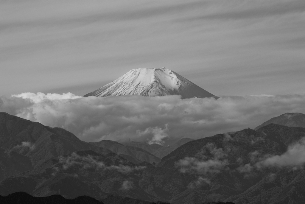 富士を望む