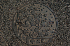 東京都のマンホール＠上野
