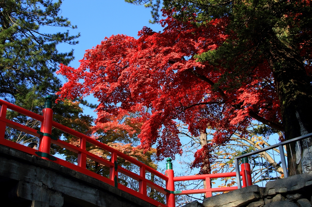盛岡城跡公園
