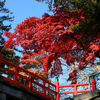 盛岡城跡公園