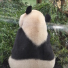 後ろ姿