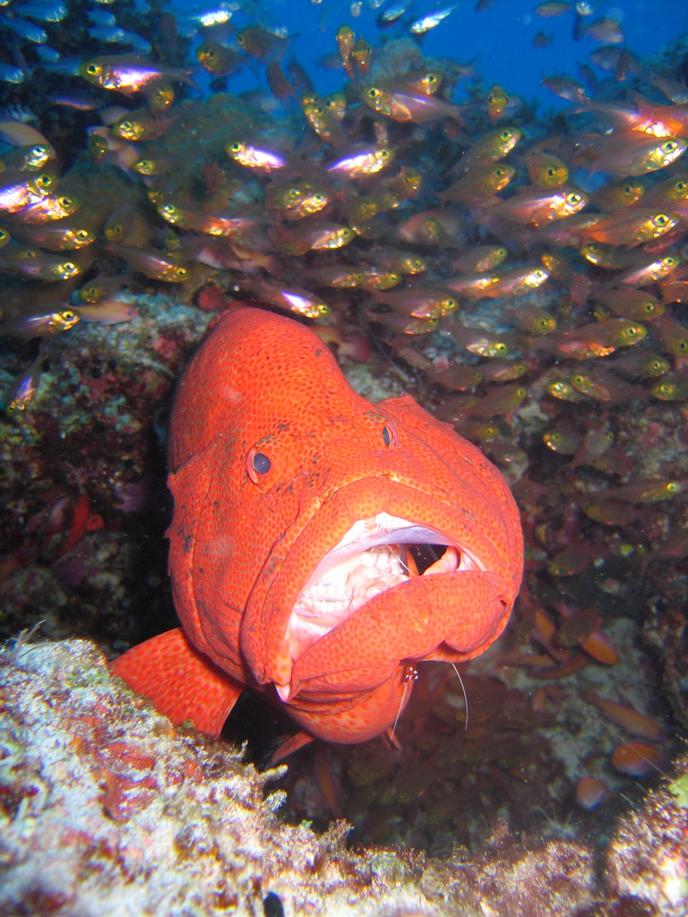 びっくりしたな