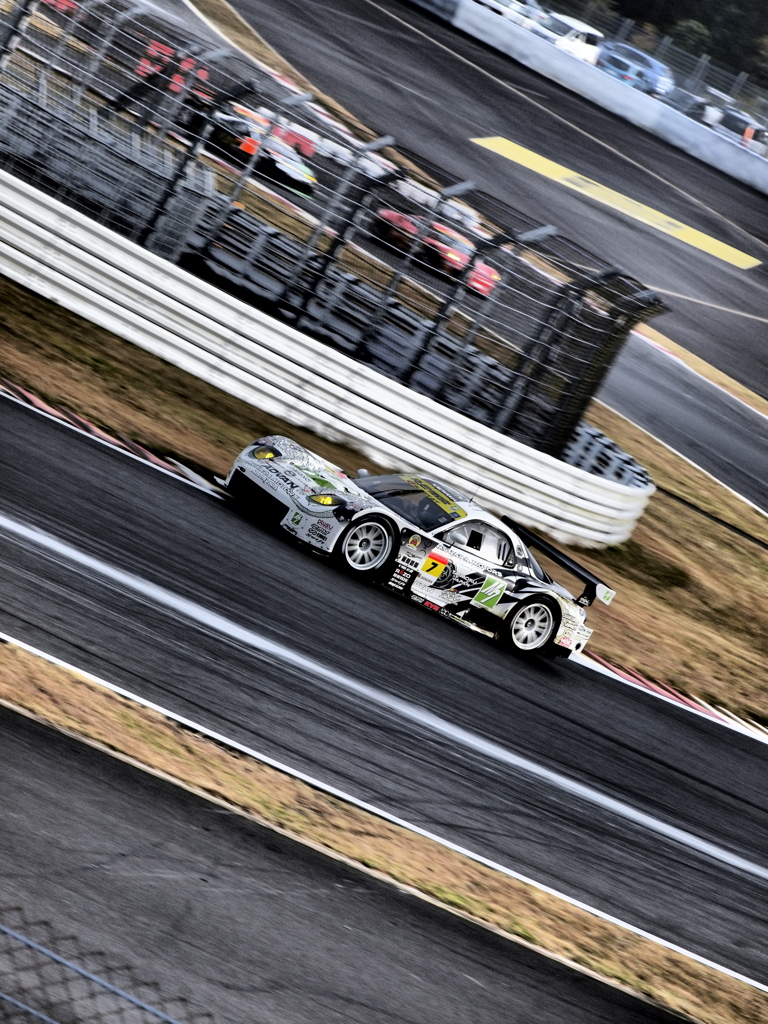 Fuji Sprint Cup 2010_7