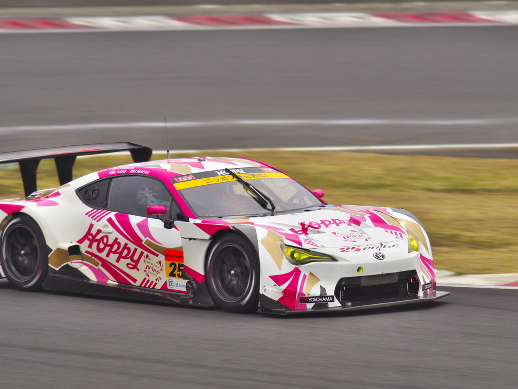 SUPERGT 2019 FSWテスト 1