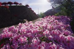 津和野