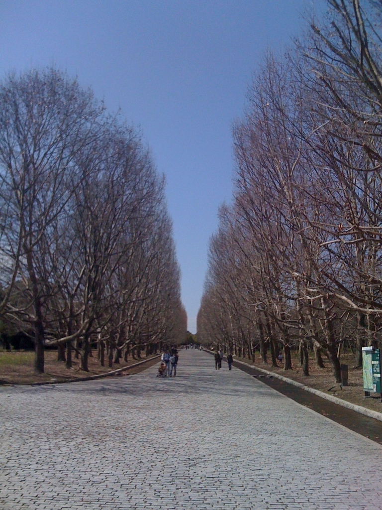 万博公園　iphone
