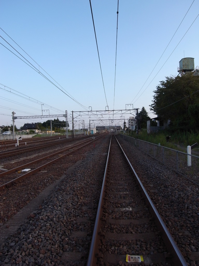 ライン