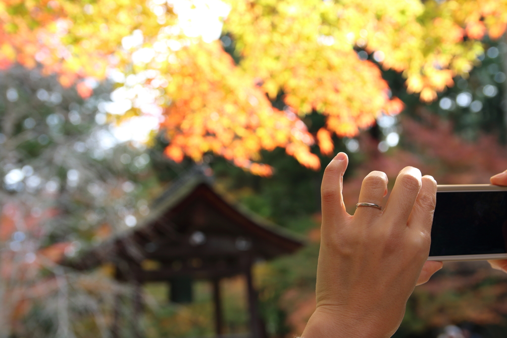 紅葉と指輪