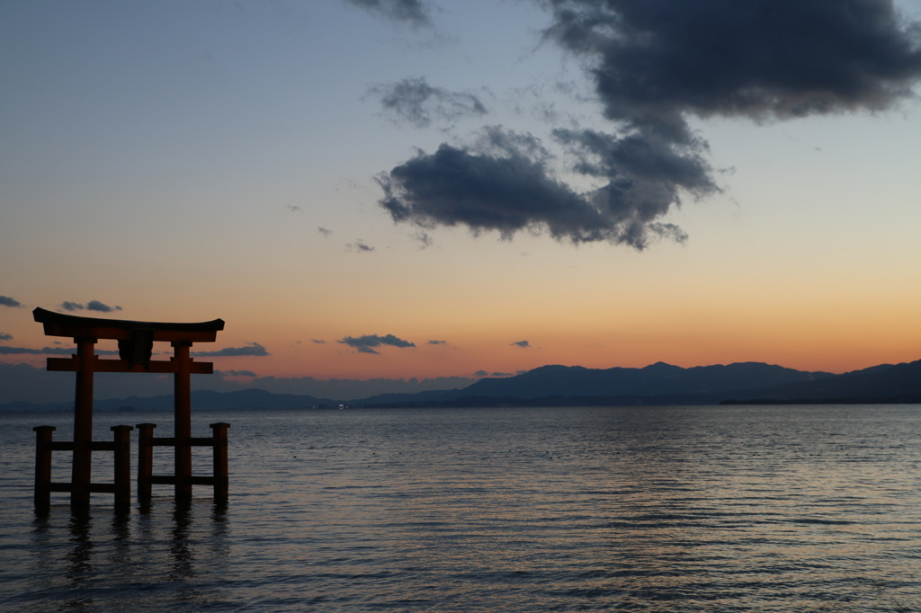 水辺に浮かぶものは…