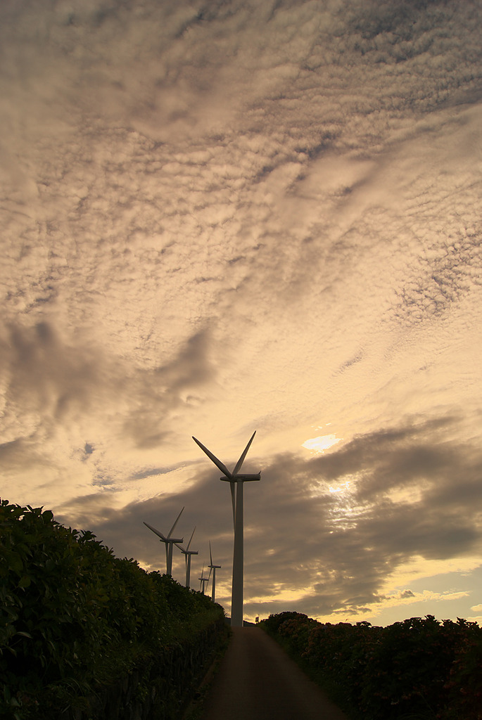 風車と雲