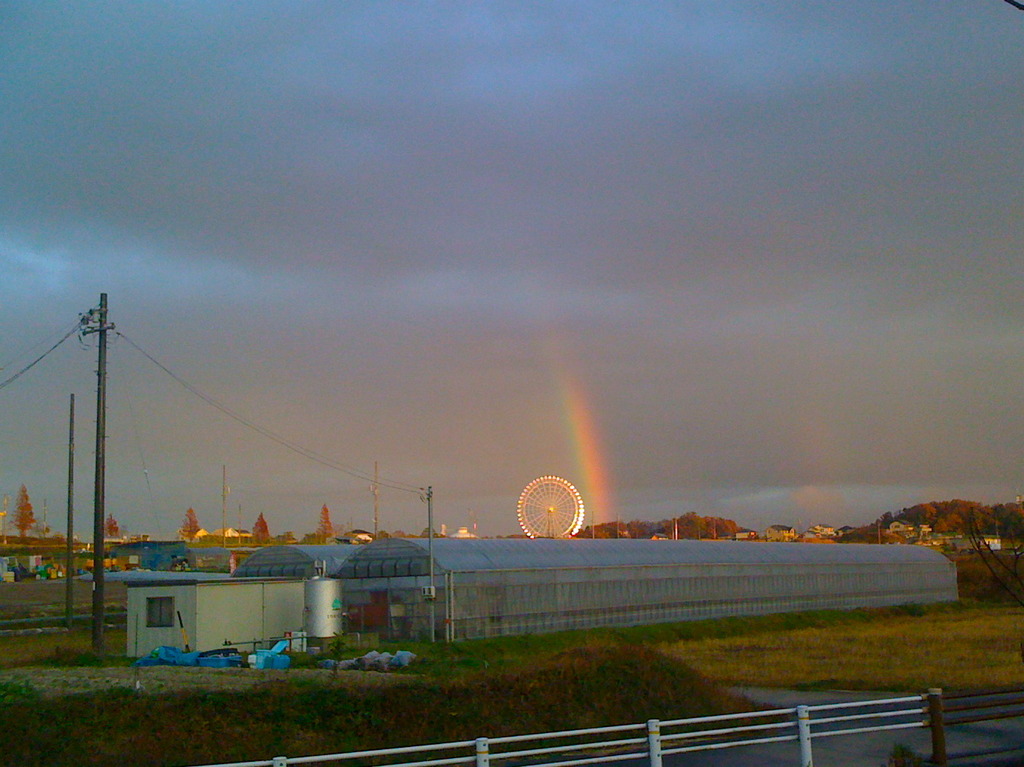 Ferris Rainbow