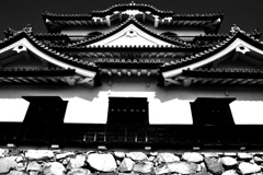 HIKONE Castle #1