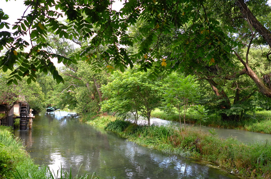 水車の風景