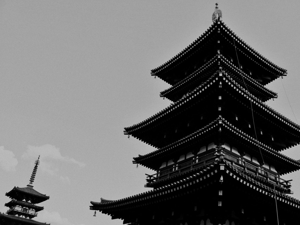 East and West -薬師寺、東塔と西塔-