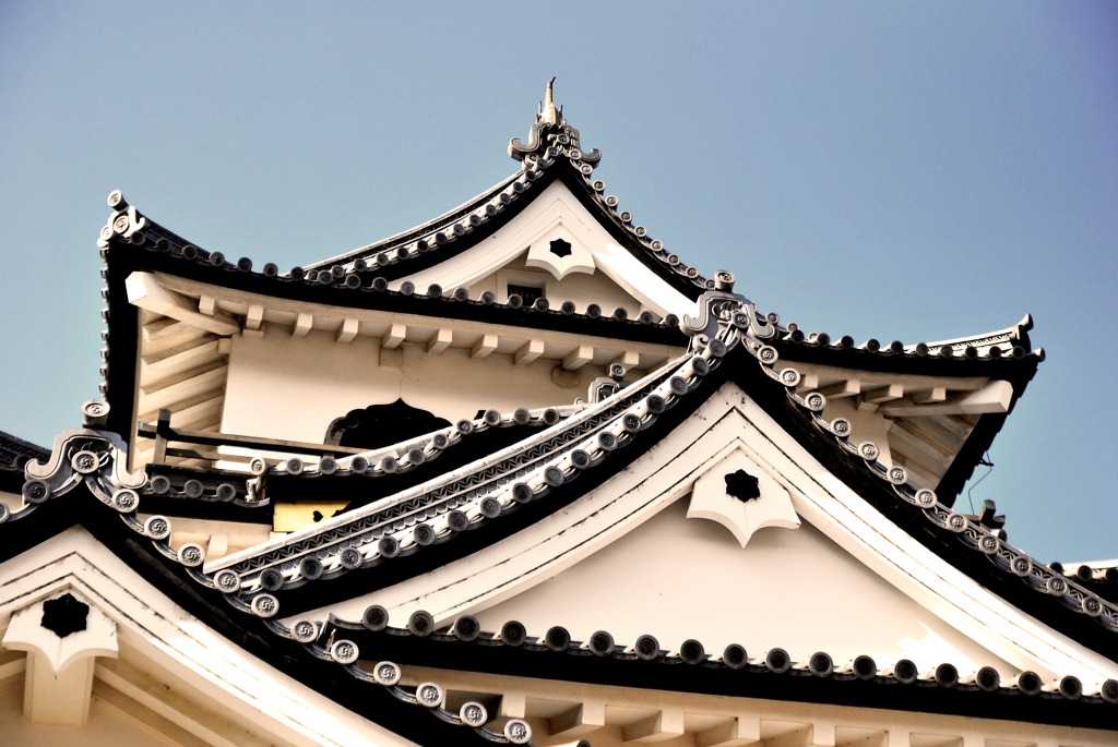 HIKONE Castle #2