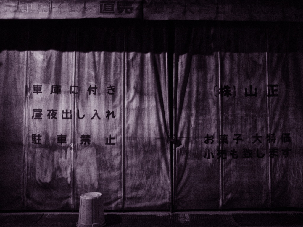 夜の中を
