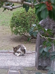 姫路城にて