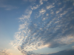 秋の雲