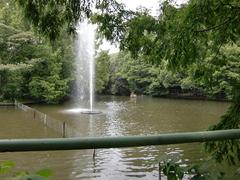 白鳥池