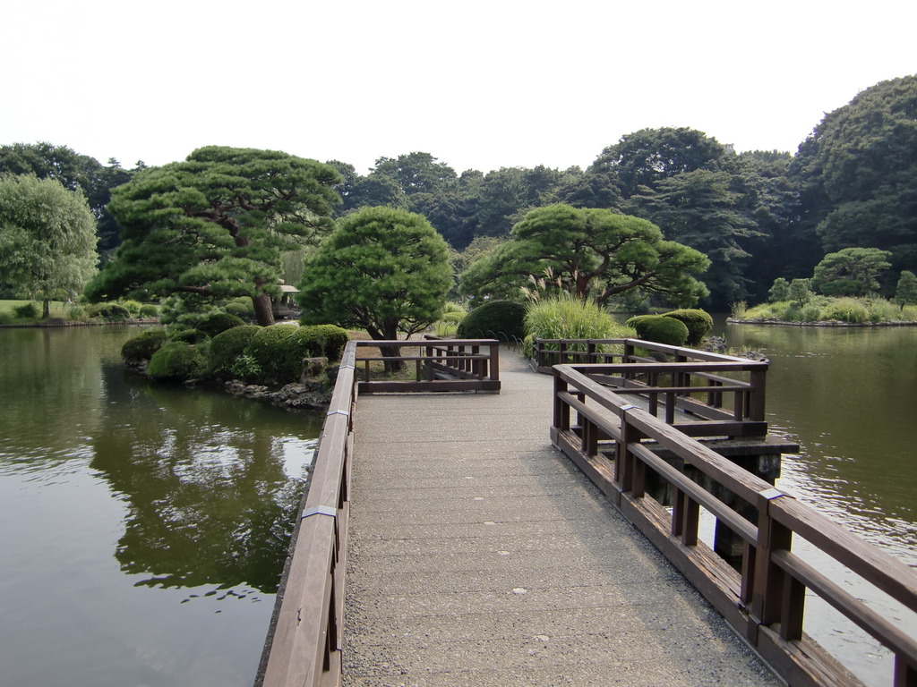 新宿御苑＠日本庭園