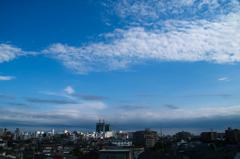 梅雨の合間