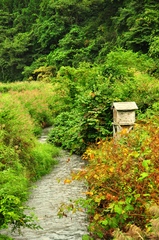 小河