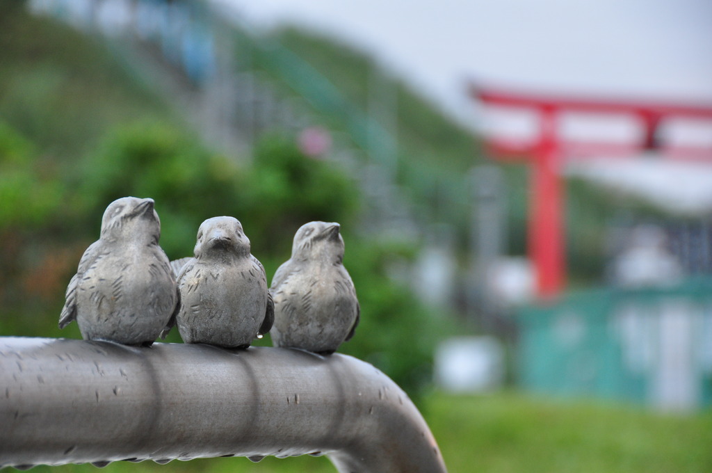 鳥の飾り