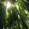 報国寺