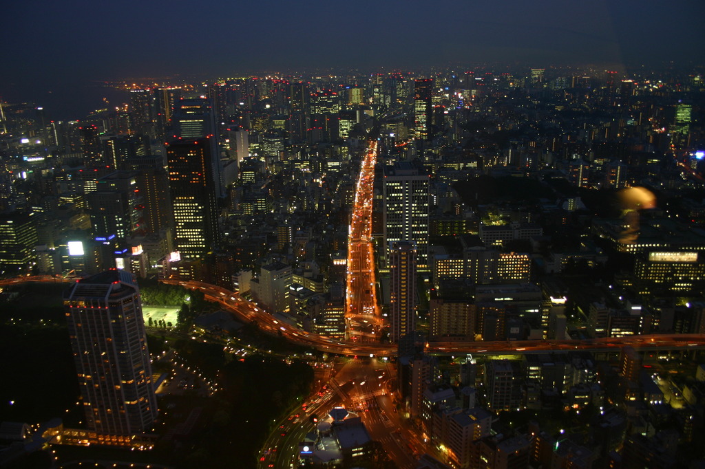 東京タワー特別展望台より