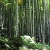 報国寺
