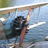 飛行機