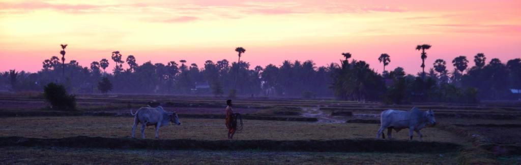Sunrise Colors in Chhuk, Cambodia