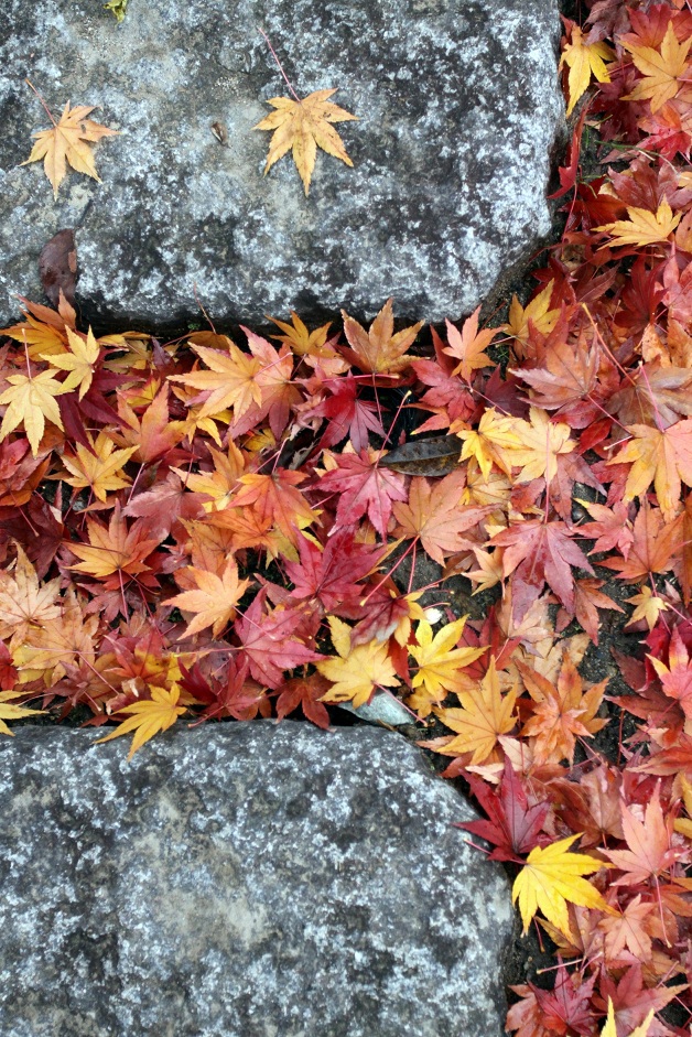 紅葉 石