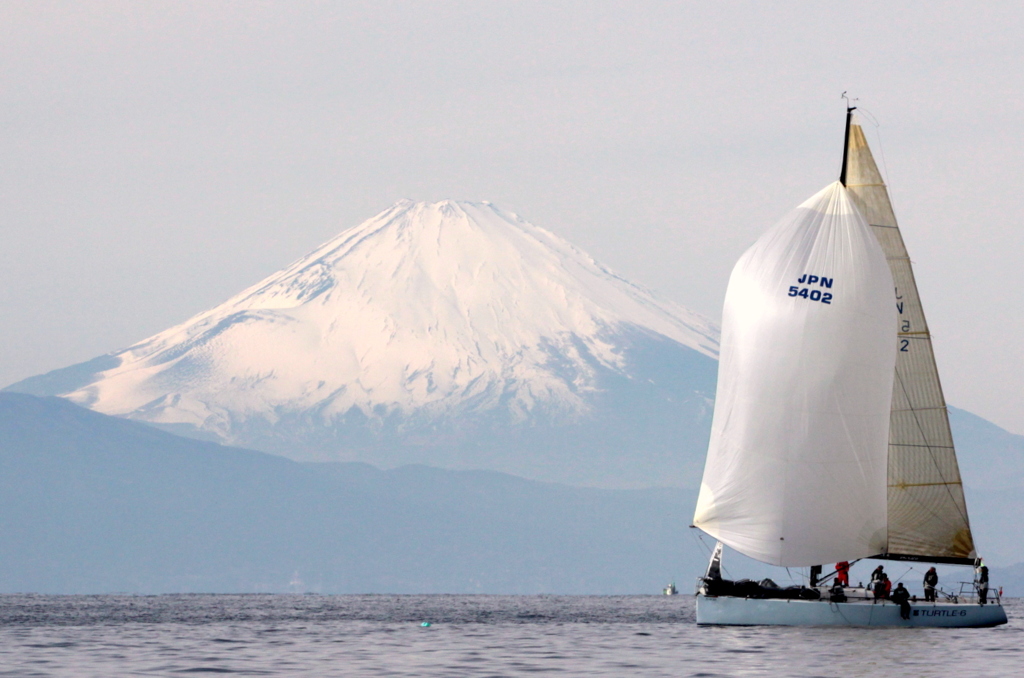 turtle with fujisan
