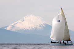 turtle with fujisan