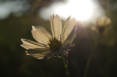IMGP0641