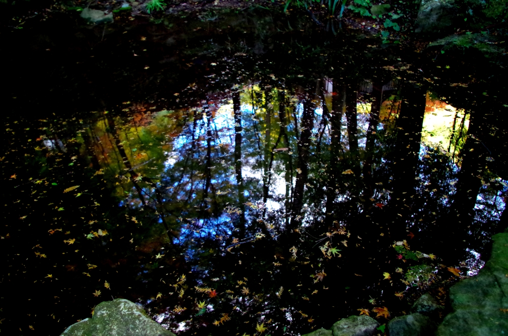 IMGP0915