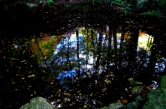IMGP0915