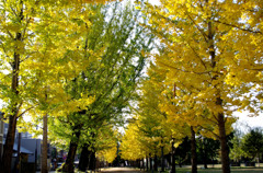 IMGP0899